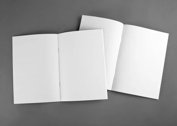 Catalogo in bianco, brochure, riviste, book mock up — Foto Stock