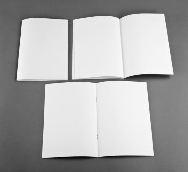 Boş katalog, broşür, dergiler, sahte kitap