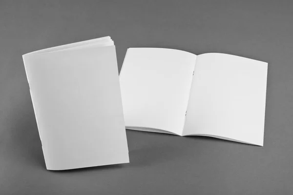 Catalogo in bianco, brochure, riviste, book mock up — Foto Stock