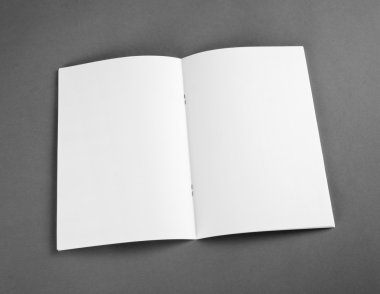 Boş katalog, broşür, dergiler, sahte kitap