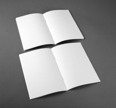 Boş katalog, broşür, dergiler, sahte kitap.