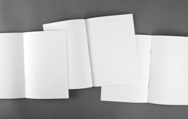 Boş katalog, broşür, dergiler, sahte kitap