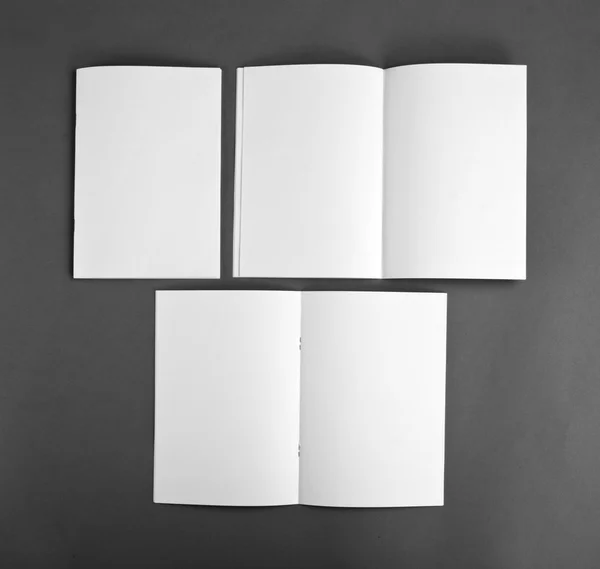 Catálogo en blanco, folleto, revistas, maqueta de libros —  Fotos de Stock
