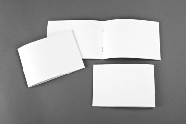 Boş katalog, broşür, dergiler, sahte kitap.