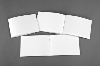 Boş katalog, broşür, dergiler, sahte kitap. 