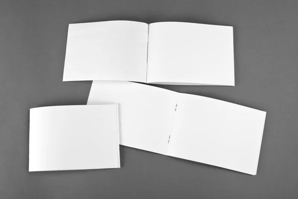 Blank catalog, brochure, magazines, book mock up. — Stock Photo, Image