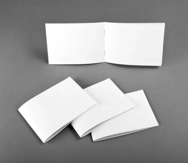 Catalogo in bianco, brochure, riviste, libri — Foto Stock