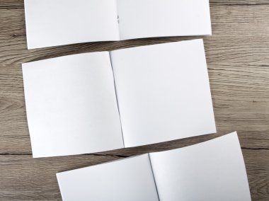 Boş katalog, broşür, dergiler, sahte kitap.