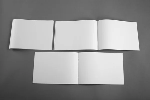 Catalogo in bianco, brochure, riviste, book mock up — Foto Stock