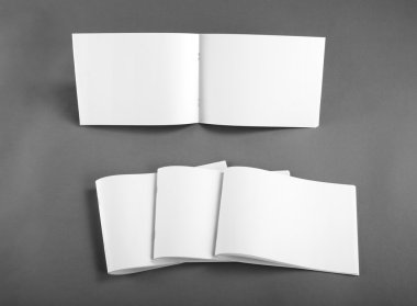 Boş katalog, broşür, dergiler, sahte kitap.