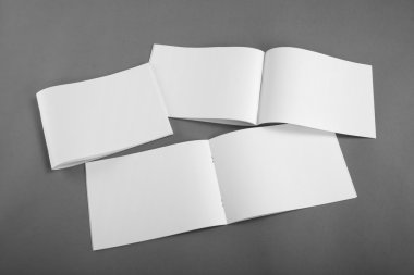 Boş katalog, broşür, dergiler, sahte kitap.