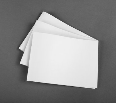 Boş katalog, broşür, dergiler, sahte kitap.