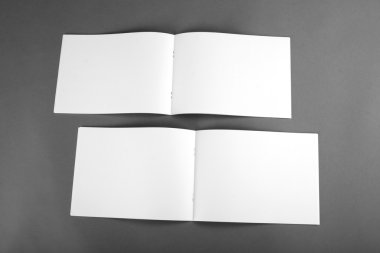 Boş katalog, broşür, dergiler, sahte kitap.