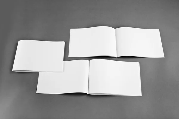 Catalogo in bianco, brochure, riviste, book mock up . — Foto Stock