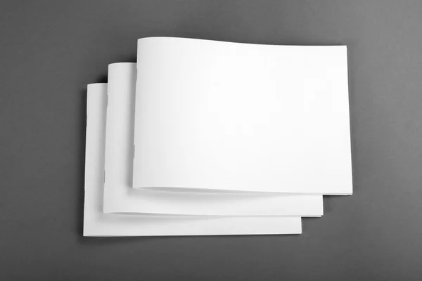 Blank catalog, brochure, magazines, book mock up. — Stock Photo, Image