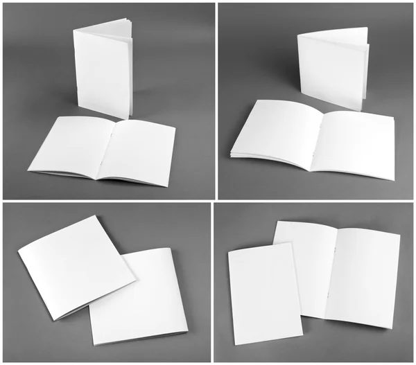 Catalogo in bianco, brochure, riviste, book mock up . — Foto Stock