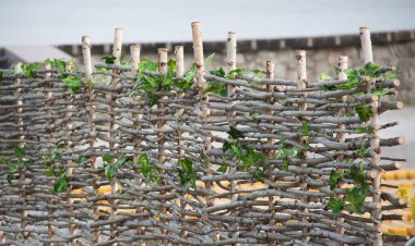 Ukrayna usulü el yapımı ahşap hasır çit..