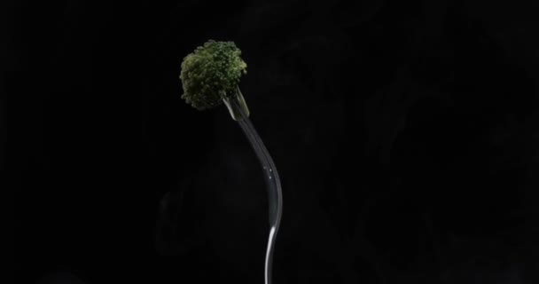 Rotating Fork Cabbage Black Background — Stock Video
