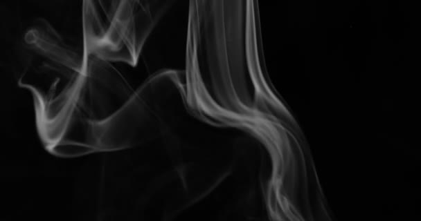 Tło Dymne Biały Dym Płynący Przestrzeni Czarnym Tle — Wideo stockowe