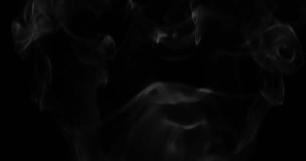 Hintergrund Rauch Weißer Rauch Zieht Vor Schwarzem Hintergrund Durch Den — Stockvideo