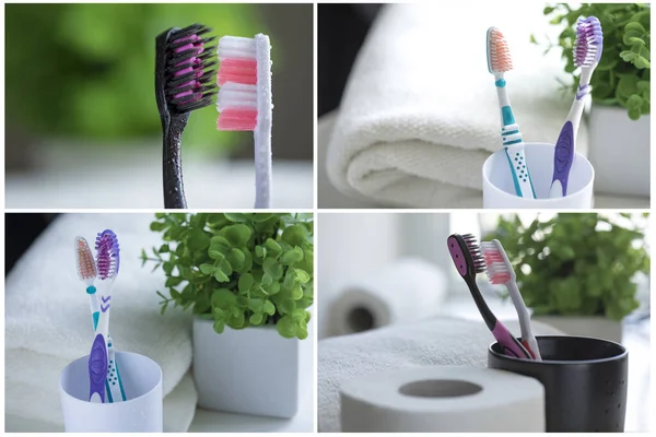 Close Shot Set Multicolored Toothbrushes — Stock Photo, Image