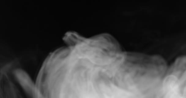 Λευκός Καπνός Αιωρείται Στο Διάστημα Μαύρο Φόντο — Αρχείο Βίντεο