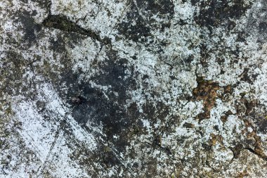 Arkaplan veya doku olarak gri beton alçı duvar