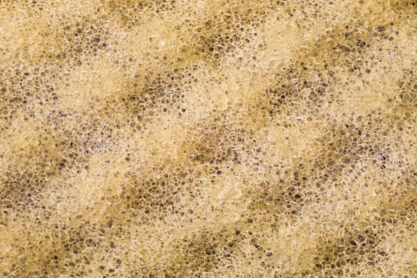 Fibre Spugna Ingrandite Texture Spugna Vicino — Foto Stock