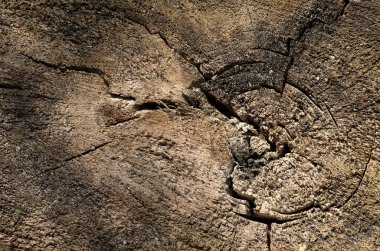 Arka plan için eski kadın dokusu. Kapat.