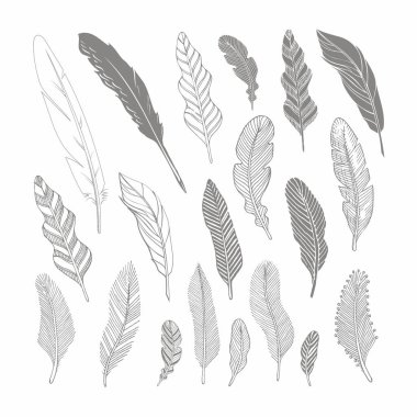 El çizimi siyah tüyler.