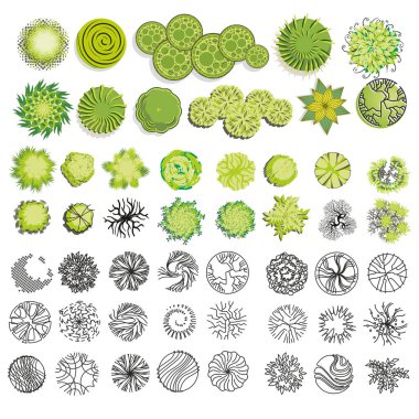 Ağaçlar ve bush öğesi üst için peyzaj tasarımı, vektör simge göster