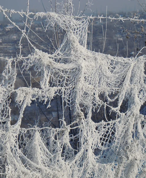 Hoar geada cobrindo galhos de árvores nuas em um dia de inverno . — Fotografia de Stock