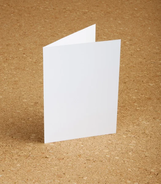 blank white folding paper flyer