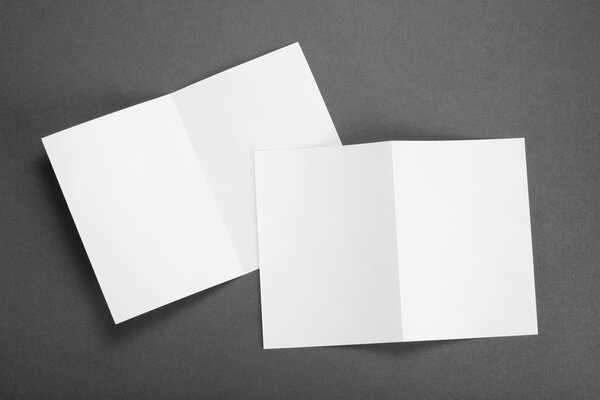 blank white folding paper flyer