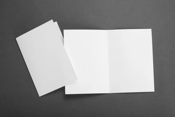 रिक्त पांढरा फोल्डिंग कागद फ्लायर — स्टॉक फोटो, इमेज