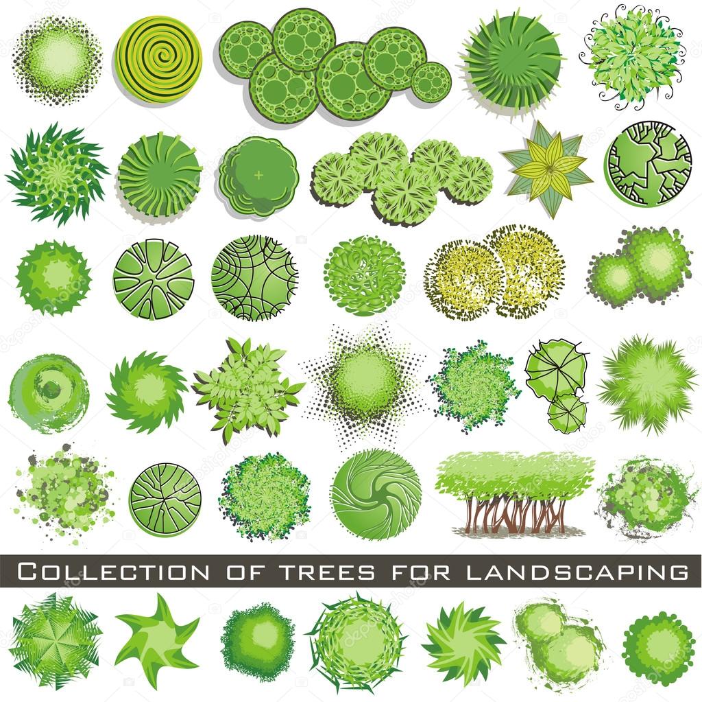 Trees and bush item top view for landscape design, vector icon