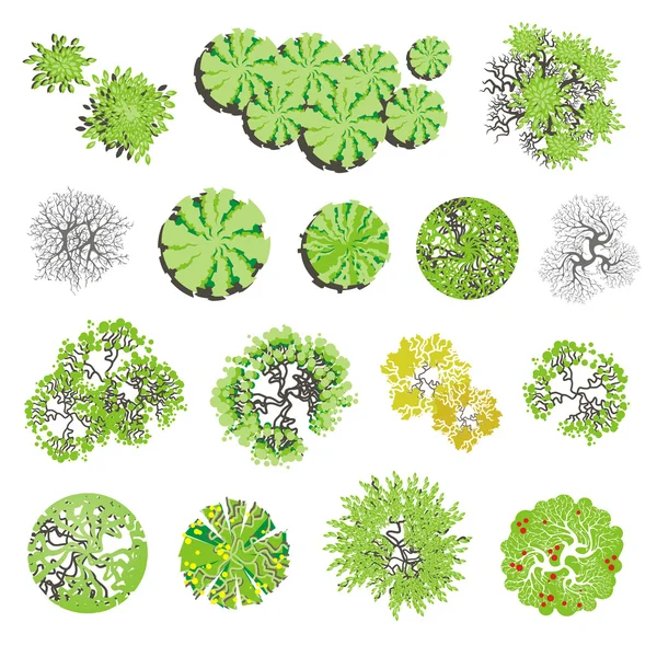 Renkli ağaçlar - üstten görünüm. Senin peyzaj tasarım p kolay