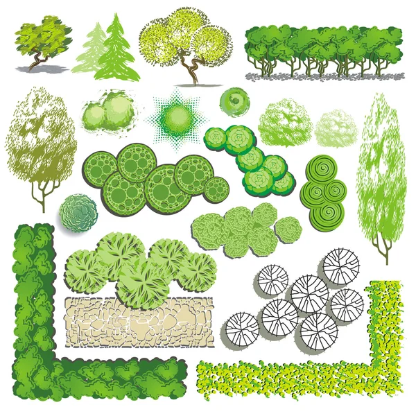 Árvores e item de arbusto para design de paisagem, ícone de vetor —  Vetores de Stock
