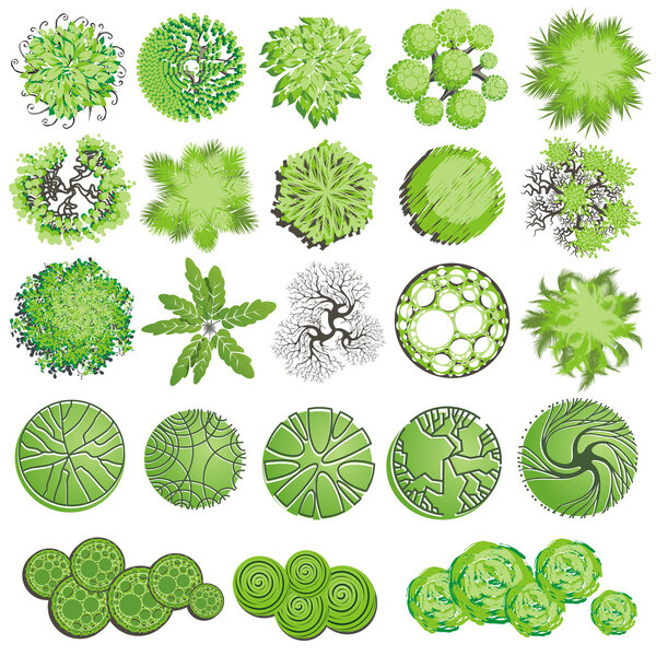 Условные обозначения деревьев и кустарников на плане