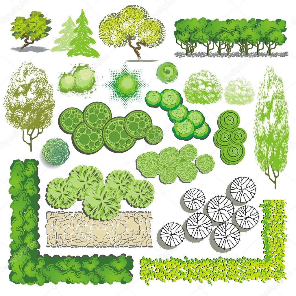 Trees and bush item for landscape design, vector icon