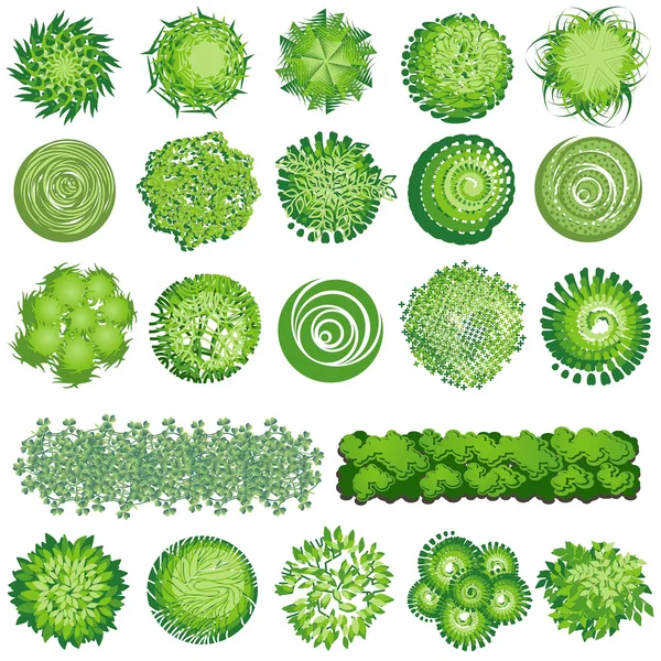 Ağaçlar ve bush öğesi üst için peyzaj tasarımı, vektör simge göster.