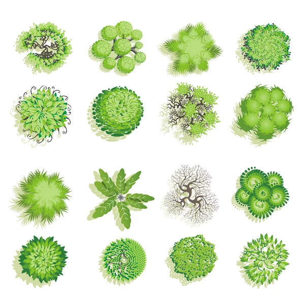 Ağaçlar ve bush öğesi üst için peyzaj tasarımı, vektör simge göster.