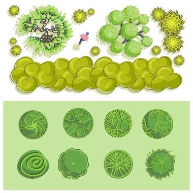 Ağaçlar ve bush öğesi üst için peyzaj tasarımı, vektör simge göster.