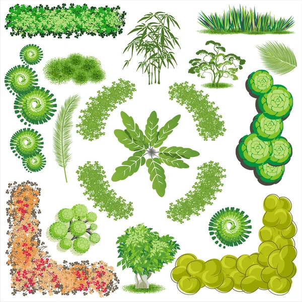 Ağaçlar ve bush öğesi üst için peyzaj tasarımı, vektör simge göster.