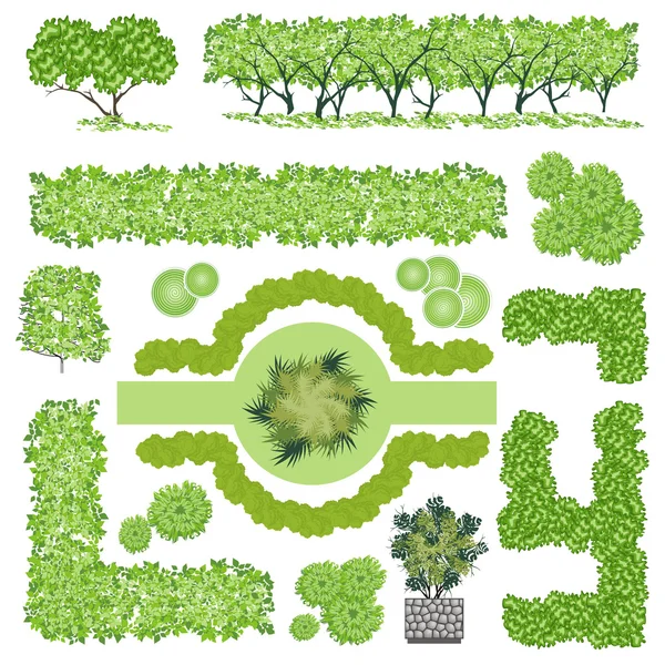 Arbres et buisson item vue du dessus pour la conception du paysage, icône vectorielle . — Image vectorielle