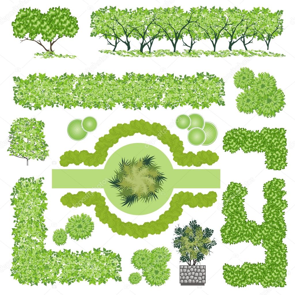 Trees and bush item top view for landscape design, vector icon.