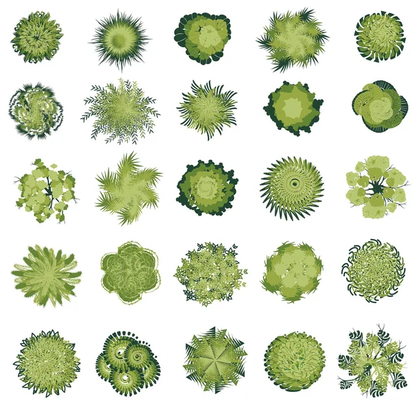 Bäume und Buschwerk Draufsicht für Landschaftsplanung, Vektorsymbol. — Stockvektor