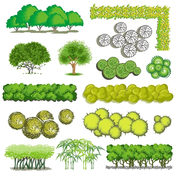 Árvores e arbusto item vista superior para o projeto da paisagem, ícone vetorial . —  Vetores de Stock