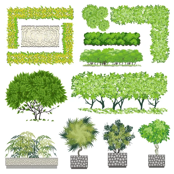 Árvores e item de arbusto para design de paisagem, ícone de vetor . —  Vetores de Stock