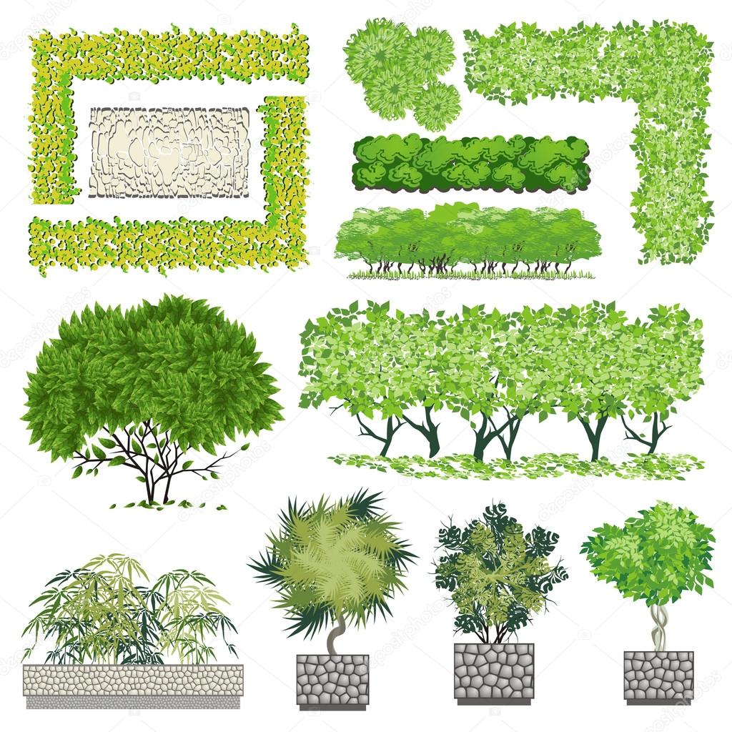 Trees and bush item for landscape design, vector icon.